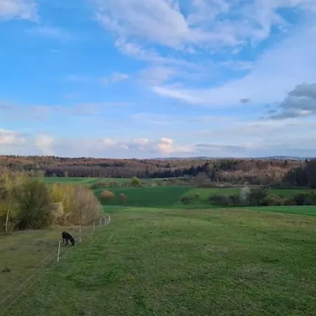 Quarto em Acomodações Particulares 2-zimmer-apartment Mit Kueche Und Bad Im In Ortsrandlage *
