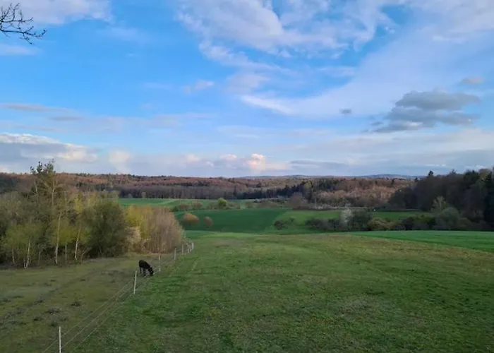 Privatunterkunft 2-zimmer-apartment Mit Küche Und Bad Im In Ortsrandlage *